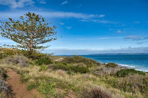 Best Things to Do in the Fleurieu Peninsula, South Australia