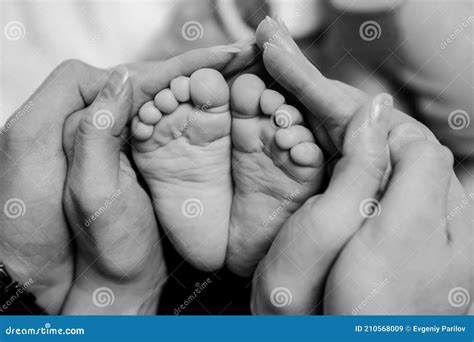 Baby Feet in Hands of Parents of Mom and Dad. Love is Continuation Black and White Concept Stock ...