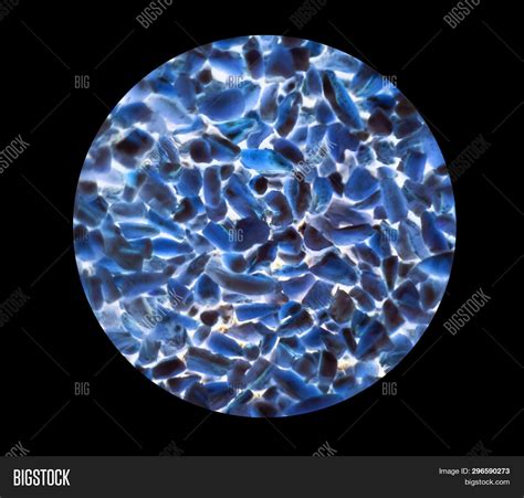 Bacteria Cells Under Image & Photo (Free Trial) | Bigstock