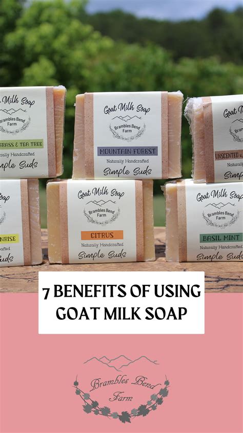 The Top 7 Benefits of Using Goats Milk Soap on Your Skin - Brambles Bend Farms Goat Milk Body ...