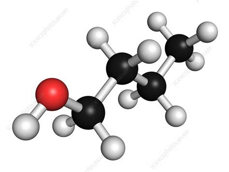 n-butanol molecule - Stock Image - F012/9785 - Science Photo Library