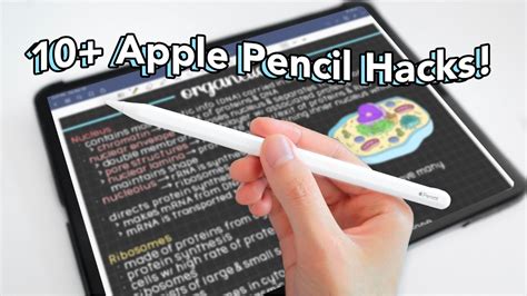 The Best Apple Pencil Tips & Tricks! 🍎 ️ - YouTube