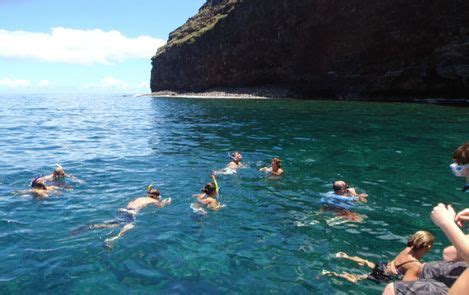 Snorkeling on the Na Pali coast is awesome...swam with the green sea turtles! | Places to go ...