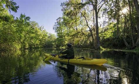 The Weather and Climate in Ocala, Florida