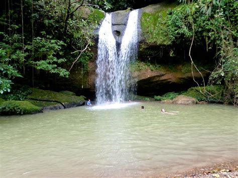 Magical journeys in the wilderness of Putumayo (Colombia) - El Mundo Magico