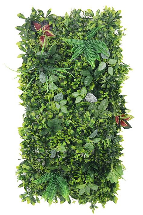 Lush Green Leaf Wall Panel (Fern) : 100 x 50cm - Holstens