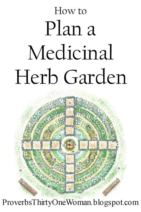 How to Plan a Medicinal Herb Garden - Proverbs 31 Homestead