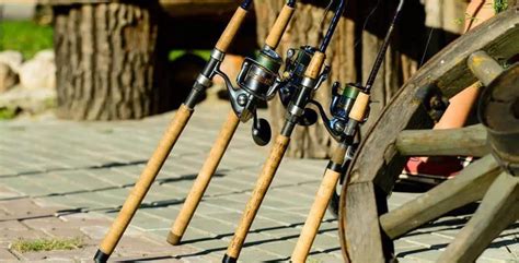 The 6 Best Bass Fishing Rods in 2021 - By Experts