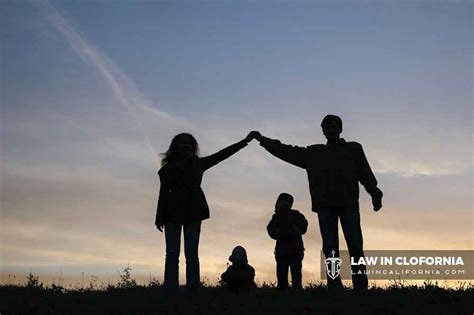 Mistrial vs. Appeal: Understanding the Key Differences in Family Law ...