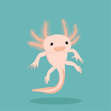 Pink Axolotl on a blue background. 7277674 Vector Art at Vecteezy