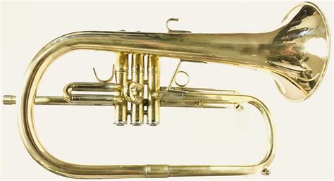 10 Types of Trumpets and When You Need Each of Them [Upd. 2024]