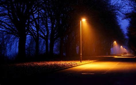 Right to Light – BLDGBLOG | Street light, Dark tree, Street lamp