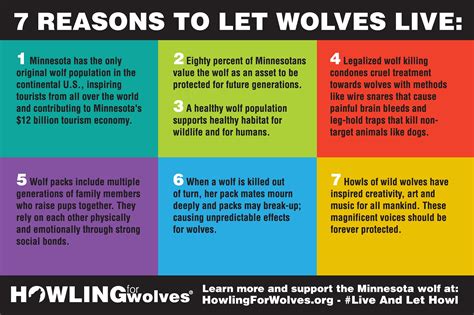 Howling For Wolves | Stop The Wolf Hunt - Save Minnesota's Gray Wolves