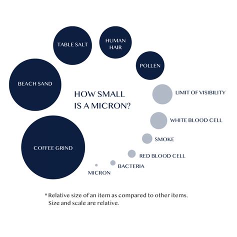 What is a Micron? The explanation and size comparison Infographic - Aqualeader