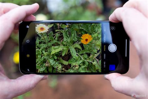 11 photography tips and tricks for better smartphone photos