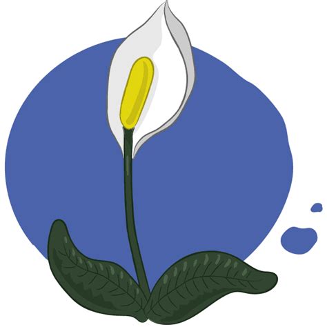 Peace Lily Plant GIF by dasherzallerliebste - Find & Share on GIPHY