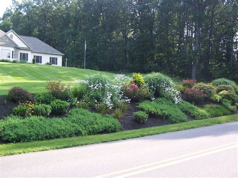 Landscaping Design for a Bank | See Photos