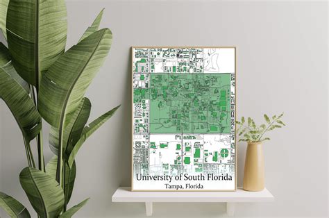 Colored Campus Map of USF University of South Florida and All Its Roads ...