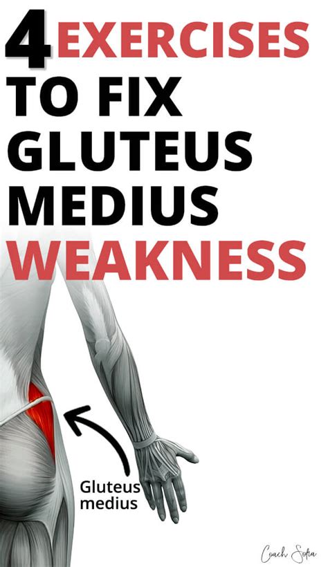 4 Weak Gluteus Medius Activation Exercises (The Only Exercises You Need ...