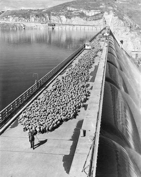 Grand Coulee Dam - HistoryLink.org