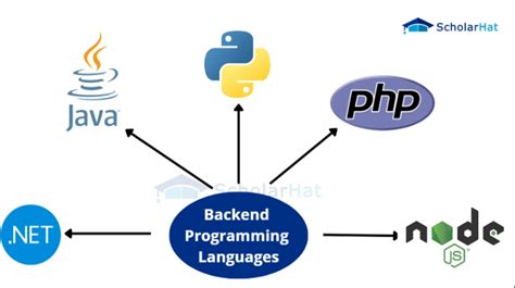 The Top Programming Languages for Web Development