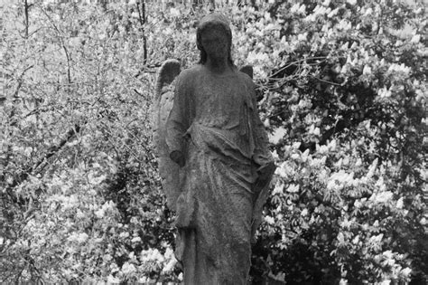 Greenwood Cemetery (neg scan) by Bjorlkjurlsdottir on DeviantArt