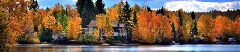 Kawartha Lakes Cottage Rentals | CottageLINK Rental Management