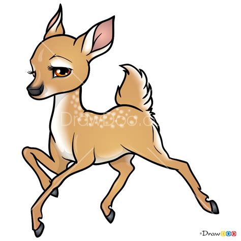 How to Draw Cartoon Deer, Deer