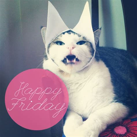 LOL cat: Happy Friday :: Friday :: MyNiceProfile.com