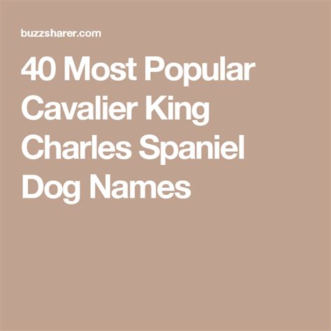 40 Most Popular Cavalier King Charles Spaniel Dog Names | Cavalier king charles spaniel, King ...