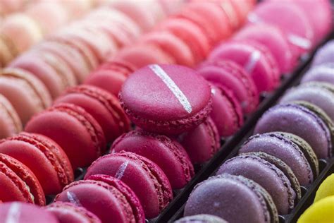 10 Cakes And Pastries You Need To Try In France - The Train Diaries