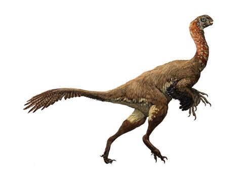 Dinosaurs are still around us - Business Insider