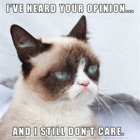 I'VE HEARD YOUR OPINION... | Grumpy cat meme, Funny grumpy cat memes, Grumpy cat humor