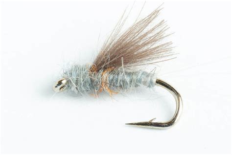 RS2 Wet Fly, 6-Pack – Blue Wing Olive