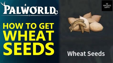 Palworld Wheat Seeds Locations - Where to Get Wheat Seeds - YouTube