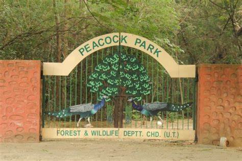 Peacock Park in Chandigarh | Peacock Park Sector 39 | City Buzz