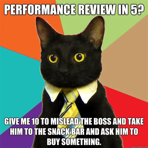 Performance Review In 5? Cat Meme - Cat Planet | Cat Planet