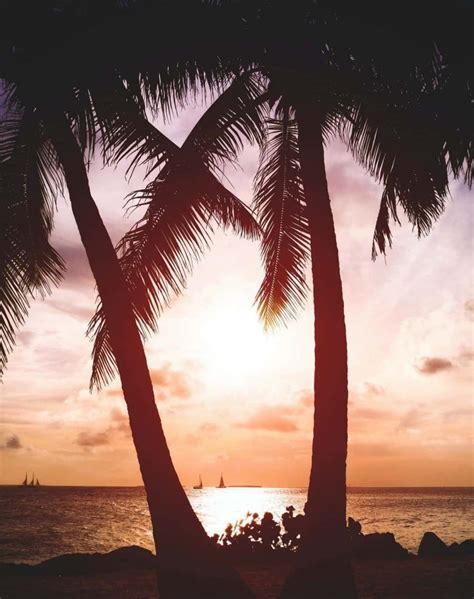 The best things to do in Islamorada, FL - How to book your trip