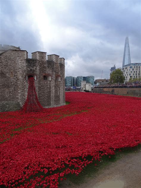 Tower of London poppy display dismantled – The Upcoming