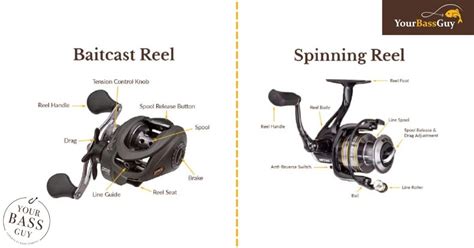 Baitcaster Vs Spinning Reel: Simplified For All Skill Levels