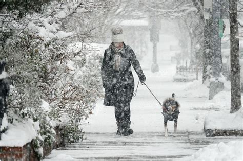 Parts Of The D.C. Region Could See Heavy Snow On Wednesday | DCist