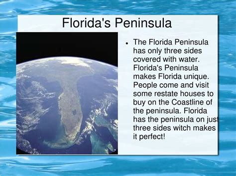 PPT - Florida's Landforms PowerPoint Presentation, free download - ID ...