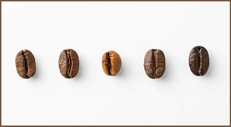 Robusta Coffee Beans & What to Know