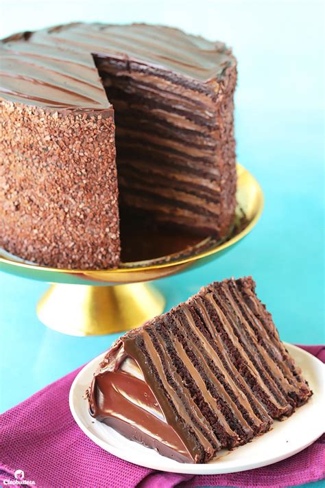 Epic 12 Layer Chocolate Cake | Cleobuttera