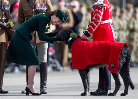 The Cambridges Introduce Fans To Irish Guards' New Four-Legged Mascot