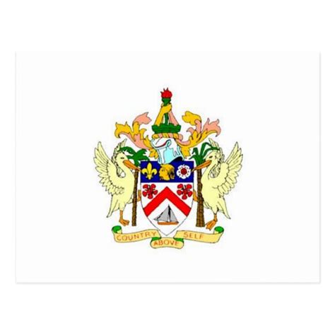 Saint_Kitts and Nevis Coat of Arms Postcard | Zazzle