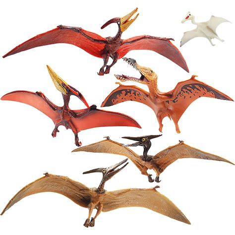 Real Pterodactyl Dinosaur