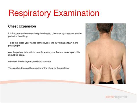 PPT - UWE Bristol Respiratory Examination PowerPoint Presentation, free download - ID:1788261