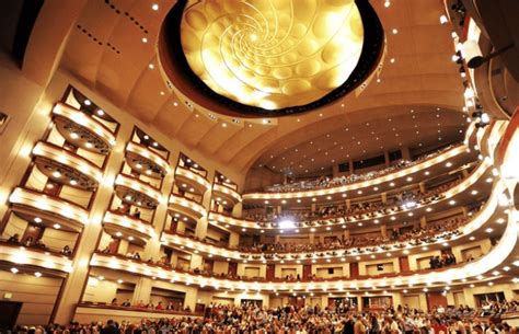 Florida Grand Opera launches new ‘A Knight at the Opera’ giveaway | Biscayne Bay Tribune#