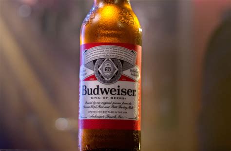 Budweiser Debuts Super Bowl 2020 Commercial Featuring Viral Acts of Humanity - Forkly